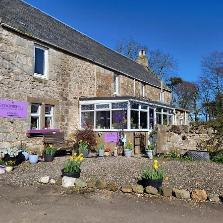 Scooniehill Farm House B&B Σεντ Άντριους Εξωτερικό φωτογραφία