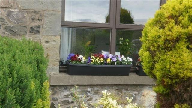 Scooniehill Farm House B&B Σεντ Άντριους Εξωτερικό φωτογραφία