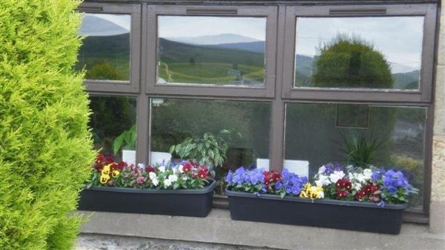 Scooniehill Farm House B&B Σεντ Άντριους Δωμάτιο φωτογραφία