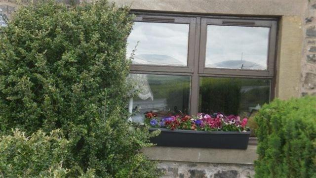 Scooniehill Farm House B&B Σεντ Άντριους Δωμάτιο φωτογραφία